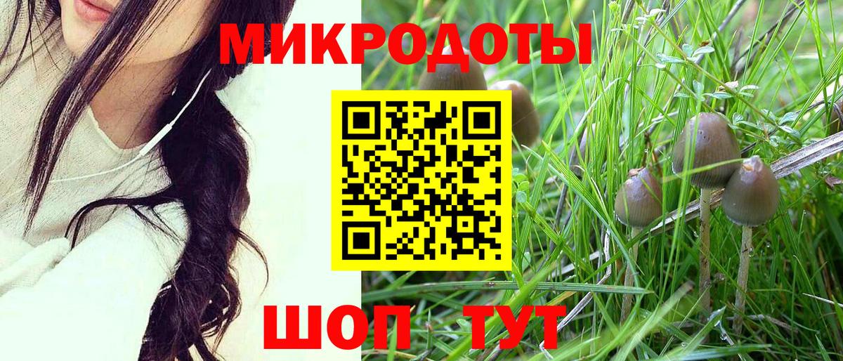 Псилоцибиновые грибы Psilocybine cubensis Беслан